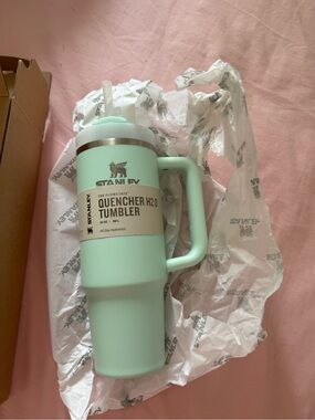 Stanley Mint Green 30 ounce Travel Tumbler with Handle and Straw